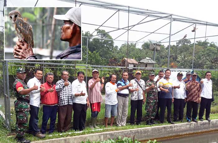 Replikasi Sukses Petani Demak, BBPP Ketindan Usung Burung Hantu jadi Predator